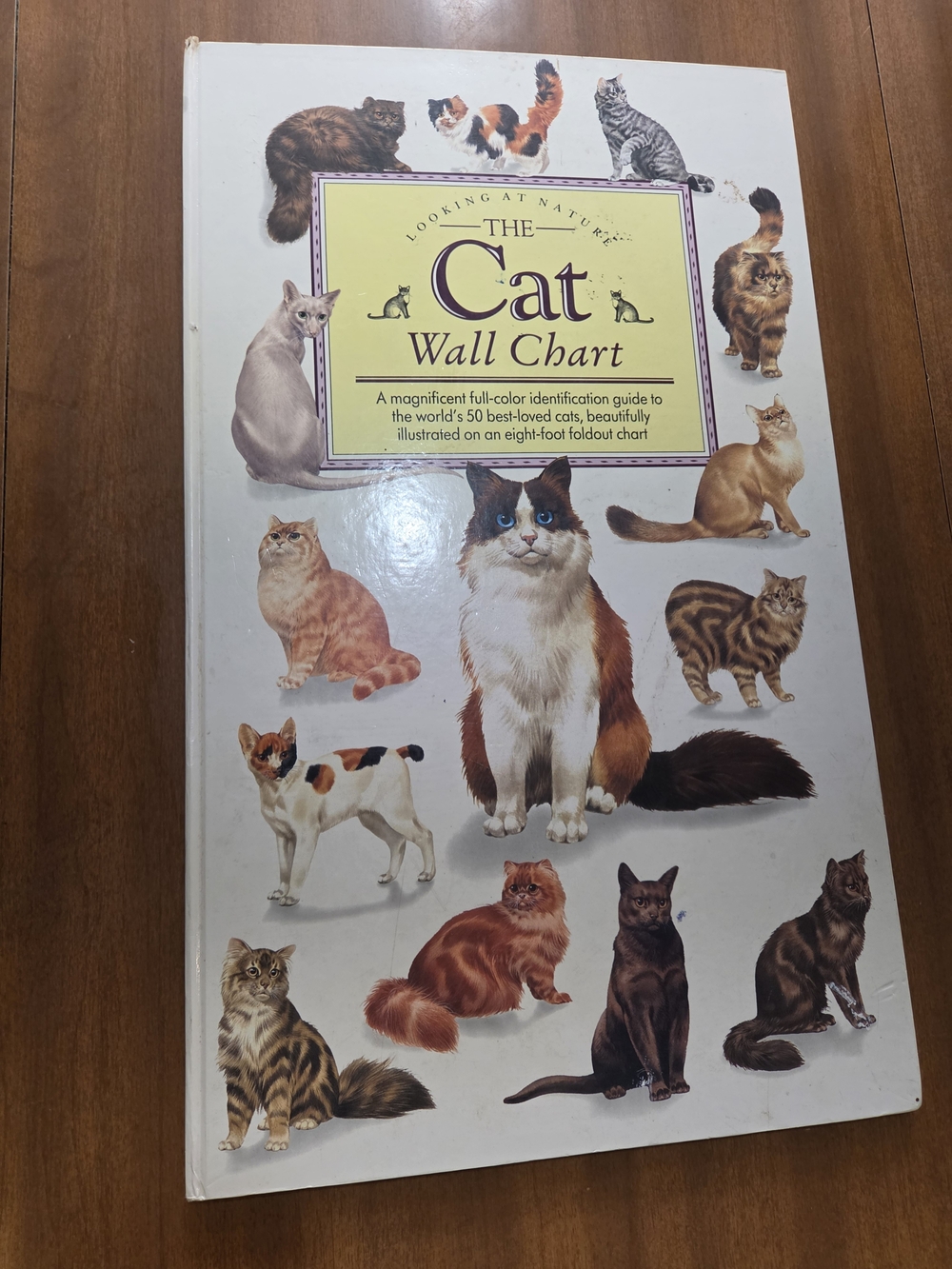 The Cat Wall Chart - Illustrated Cat Identification Guide (White)